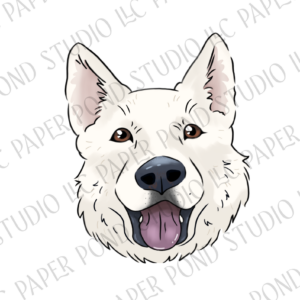 Friendly white husky dog head