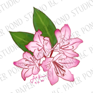 Pink rhododendron with green leaves Washington state flower with couples initials and wedding date