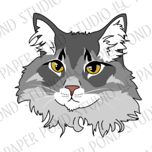 Long haired grey tabby cat face