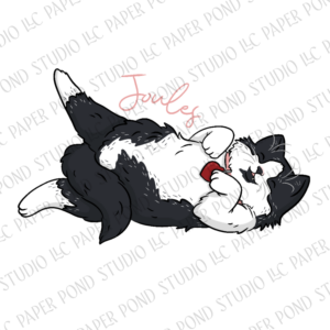 Long haired tuxedo cat with pink collar rolled on back with name Joules above